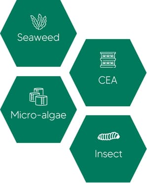 Industry-Specific Modules